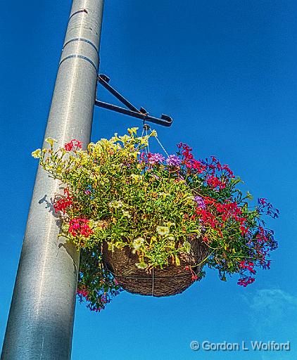 Hanging Flower Basket_P1160248-50.jpg - Photographed at Smiths Falls, Ontario, Canada.